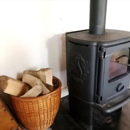 Gemuetliches Reetdachhaus Mit Kaminofen