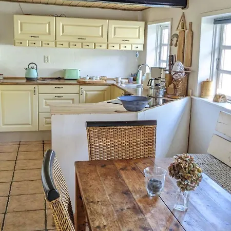 Gemuetliches Reetdachhaus Mit Kaminofen