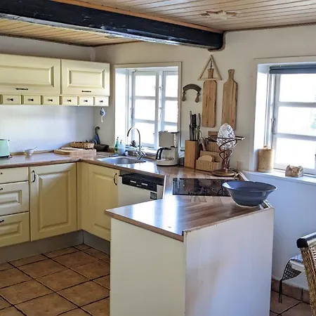 Gemuetliches Reetdachhaus Mit Kaminofen Vandrerhjem Ribe