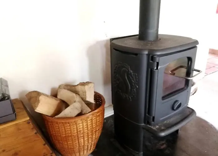 Gemuetliches Reetdachhaus Mit Kaminofen